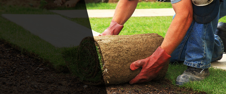 Pleasant Grove Landscapers